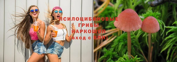 МДПВ Ладушкин