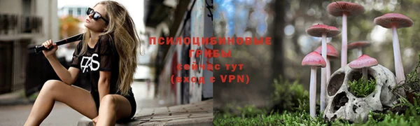 крисы Барнаул