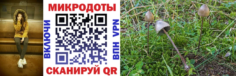 кракен ССЫЛКА  Черепаново  Галлюциногенные грибы ЛСД 